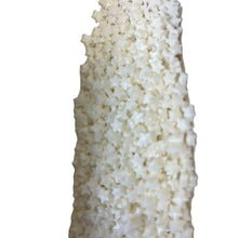 a close up of a piece of rice on a white background