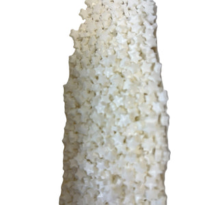 a close up of a piece of rice on a white background